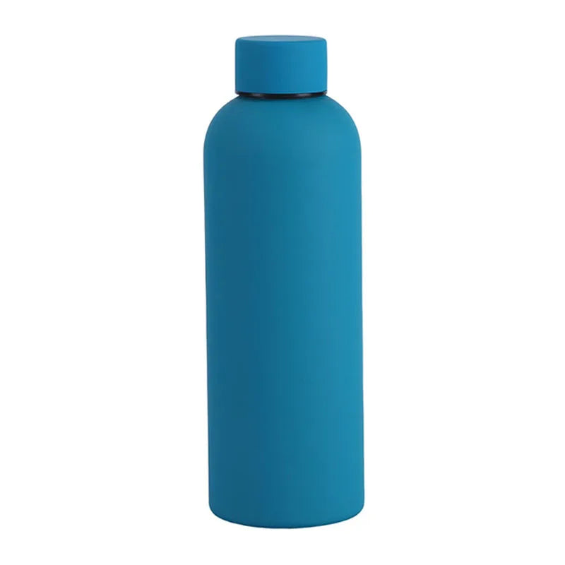 Stainless Steel Bottle