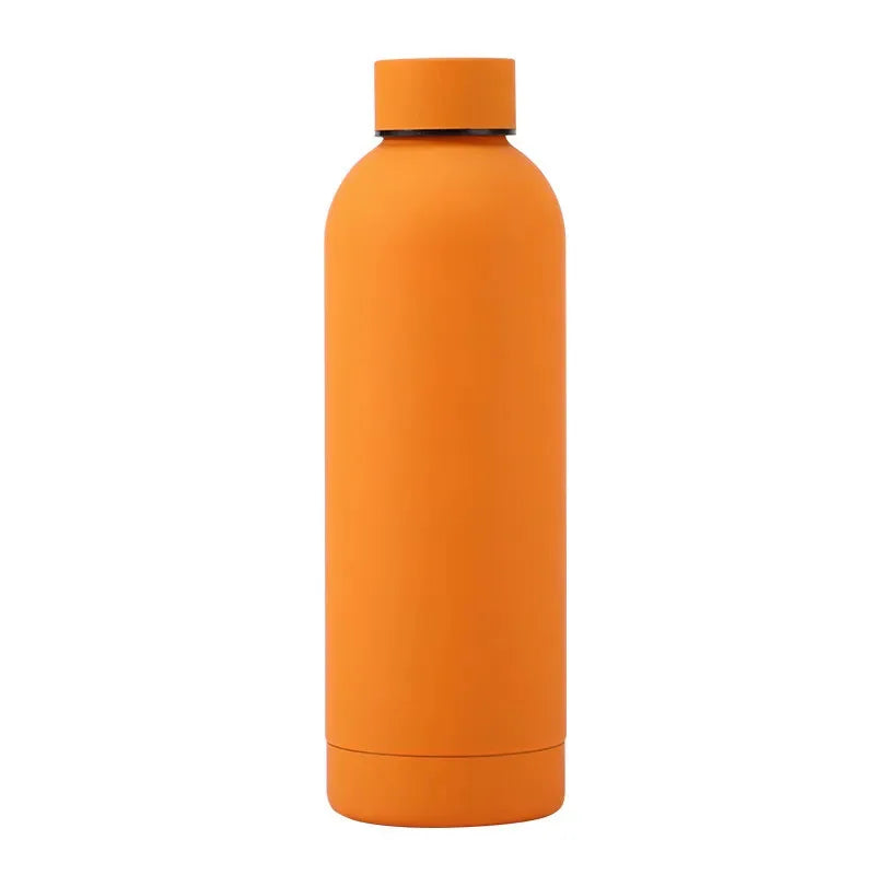 Stainless Steel Bottle