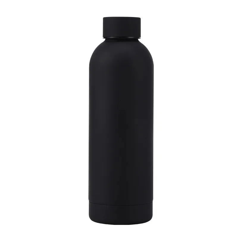 Stainless Steel Bottle