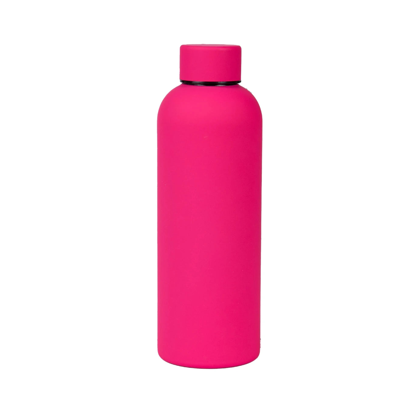 Stainless Steel Bottle