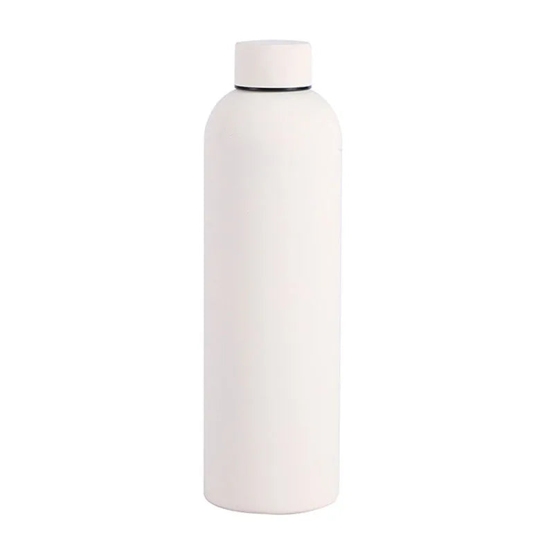 Stainless Steel Bottle
