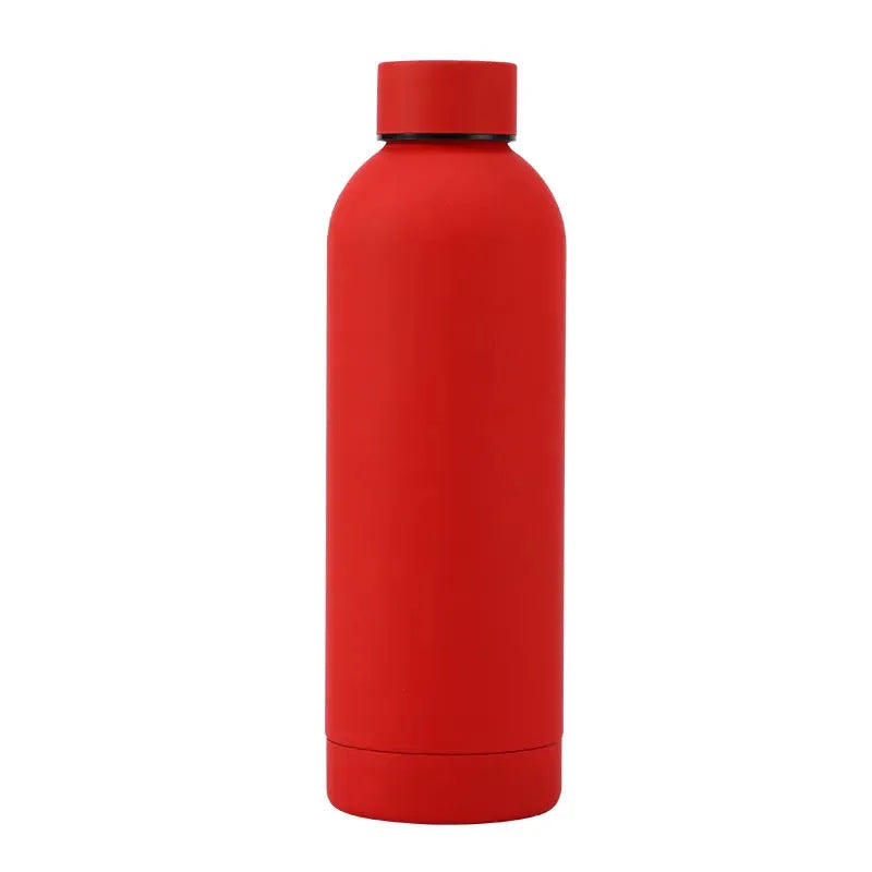 Stainless Steel Bottle
