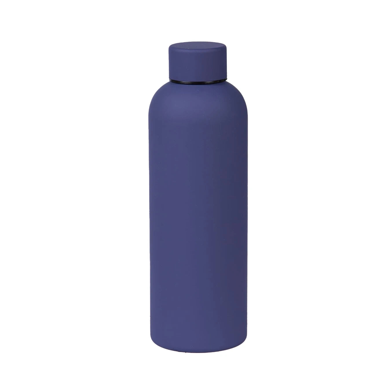 Stainless Steel Bottle